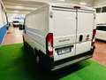Fiat Ducato Fiat Ducato / euro6/kmcerti/IVA INCLUSA Bianco - thumbnail 12