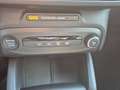 Ford Focus Turnier 1,5 EcoBlue ST-Line Aut. Schwarz - thumbnail 15