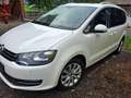 Volkswagen Sharan Sharan Comfortline BMT 2,0 TDI DPF DSG Comfortline Weiß - thumbnail 3