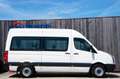 Volkswagen Crafter 2.5 TDi L2H2 9-Sitzer Radio 80KW Euro 4 Alb - thumbnail 4