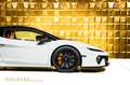 Lamborghini Temerario +LIFT+CARBON+CAMERA+STOCK+ Weiß - thumbnail 9