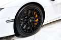 Lamborghini Temerario +LIFT+CARBON+CAMERA+STOCK+ Weiß - thumbnail 6