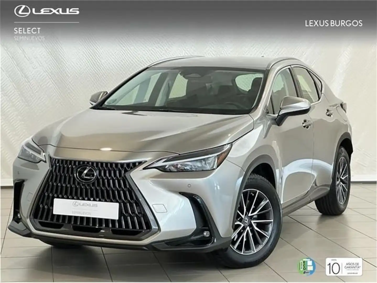 Lexus NX 450h+ 4WD PREMIUM+ Gris - 1