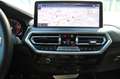 BMW X4 xDrive20i M Sport Navi AdLED Live Kamera DAB Schwarz - thumbnail 10