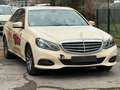 Mercedes-Benz E 200 CDI BlueTec Dieseltank defekt Giallo - thumbnail 2
