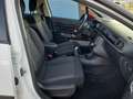 Citroen C3 PureTech 82 Shine toit panoramique Blanco - thumbnail 11