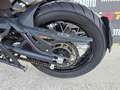 Benelli TRK 502 kw 35 Export Video 360 Geel - thumbnail 10