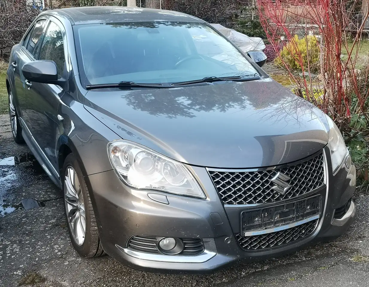 Suzuki Kizashi