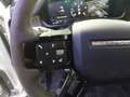 Land Rover Defender 3.0 D250 First Edition 110 Auto 4WD MHEH Gris - thumbnail 22