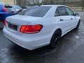 Mercedes-Benz E 200 Blue Lim.NEU MOTOR*BEI MERCEDES *180000KM Wit - thumbnail 6