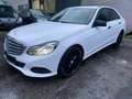 Mercedes-Benz E 200 Blue Lim.NEU MOTOR*BEI MERCEDES *180000KM Wit - thumbnail 1