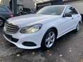 Mercedes-Benz E 200 Blue Lim.NEU MOTOR*BEI MERCEDES *180000KM White - thumbnail 3