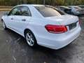 Mercedes-Benz E 200 Blue Lim.NEU MOTOR*BEI MERCEDES *180000KM White - thumbnail 10