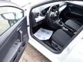 SEAT Ibiza 1,0 EcoTSI Style Weiß - thumbnail 6
