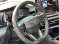 CUPRA Terramar 2.0 TSI 150 kW (204 PS) 7-Gang DSG 4Drive Schwarz - thumbnail 5