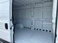 Fiat Ducato Ducato 35 2.2 Mjt 120CV PM-TM Furgone Bianco - thumbnail 8