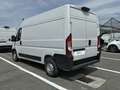 Fiat Ducato Ducato 35 2.2 Mjt 120CV PM-TM Furgone Bianco - thumbnail 3