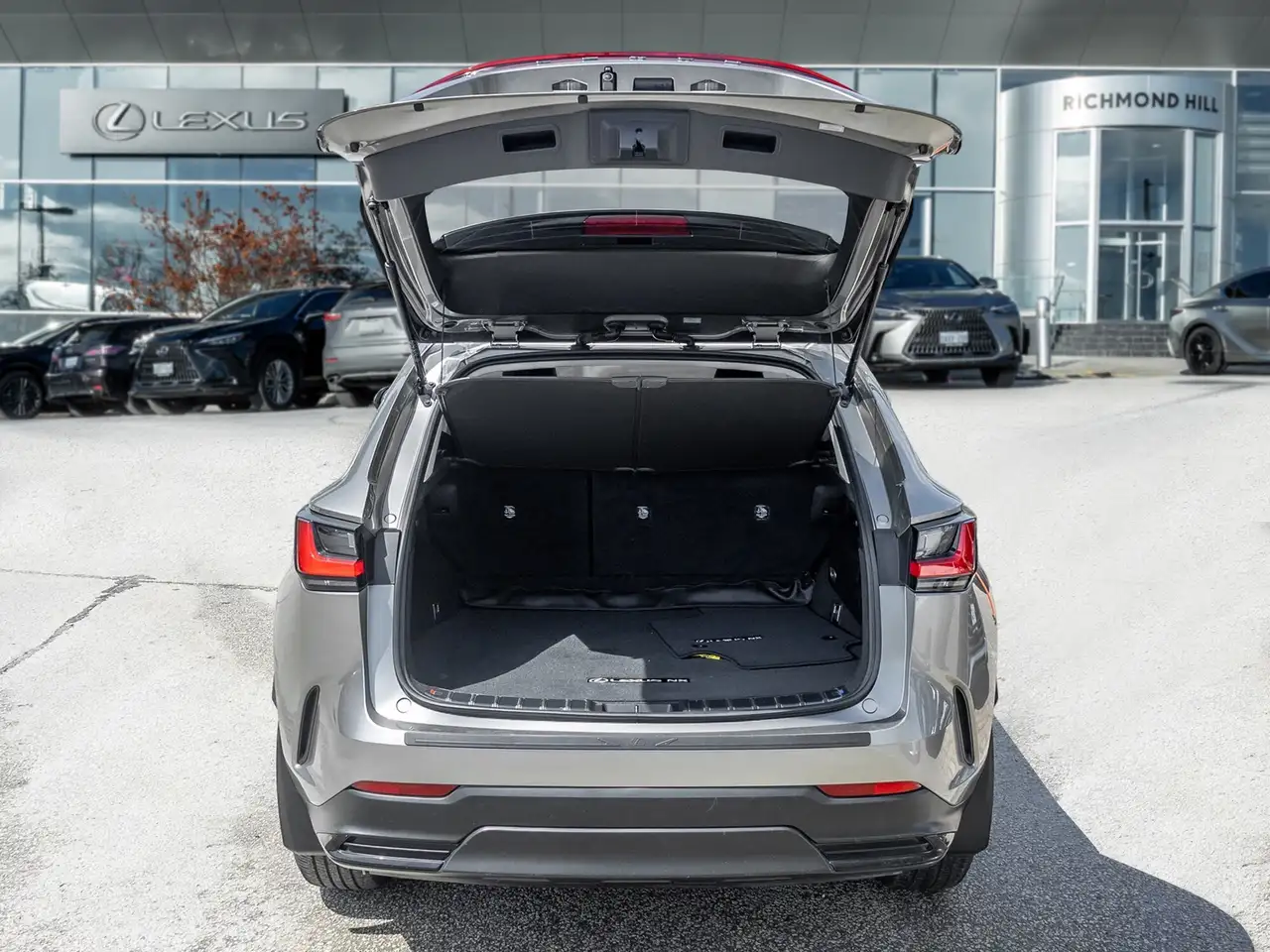 Lexus NX снимка Lexus NX