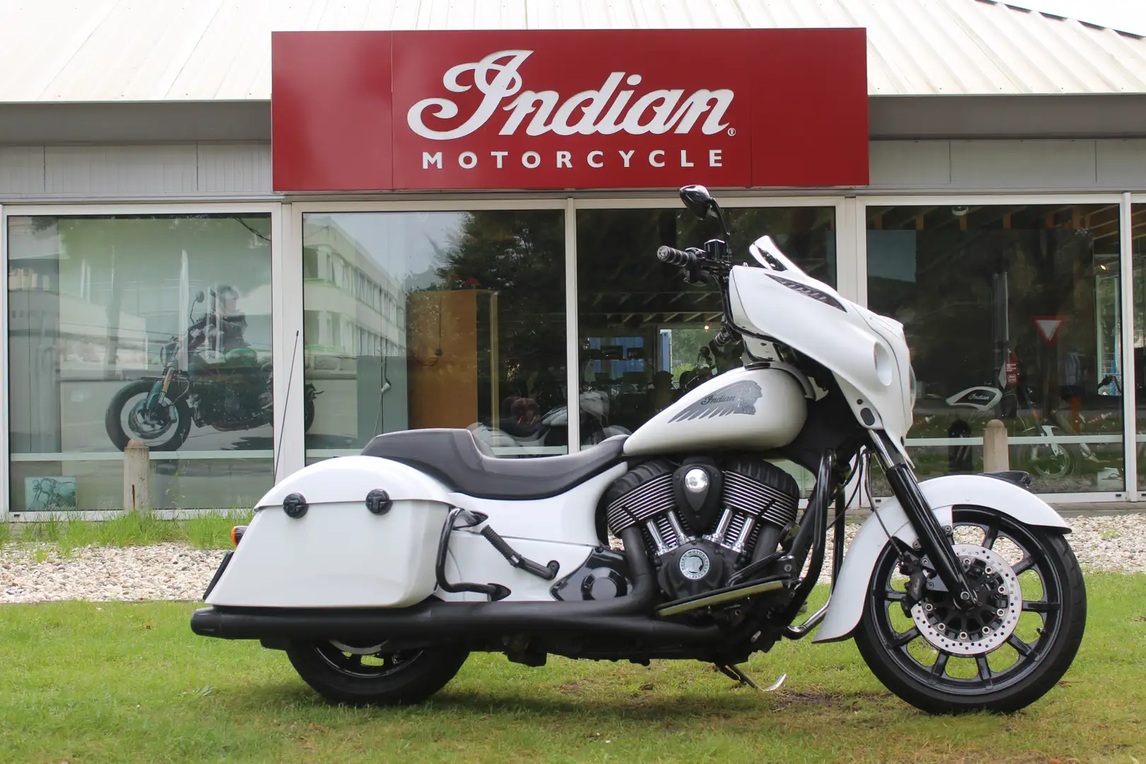 Indian Chieftain chieftain Wit - 2