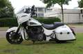 Indian Chieftain chieftain Wit - thumbnail 5