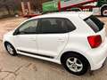 Volkswagen Polo Polo Sport Austria 1,0 Sport Austria Weiß - thumbnail 4