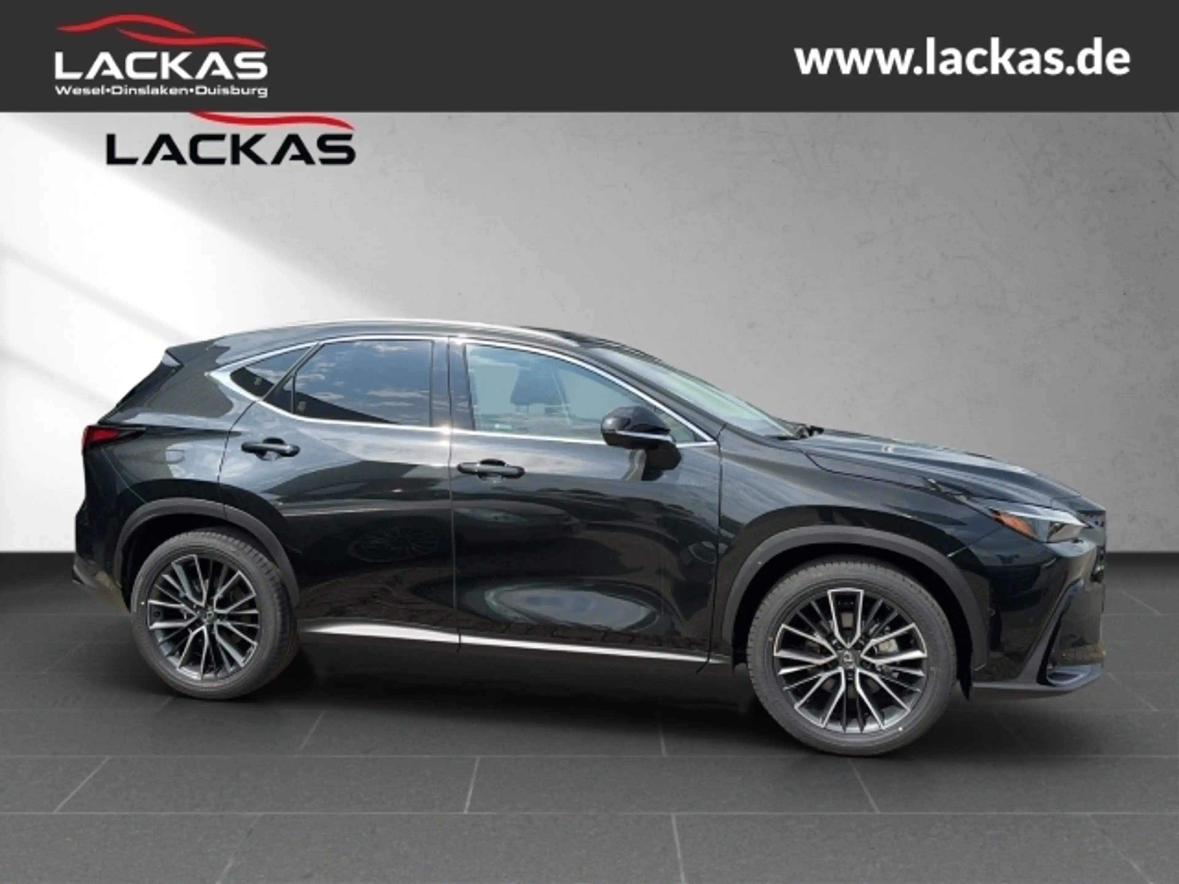 Lexus NX 350h h 243 PS Luxury 4x4 plus Panoramaglasdach — photo 6