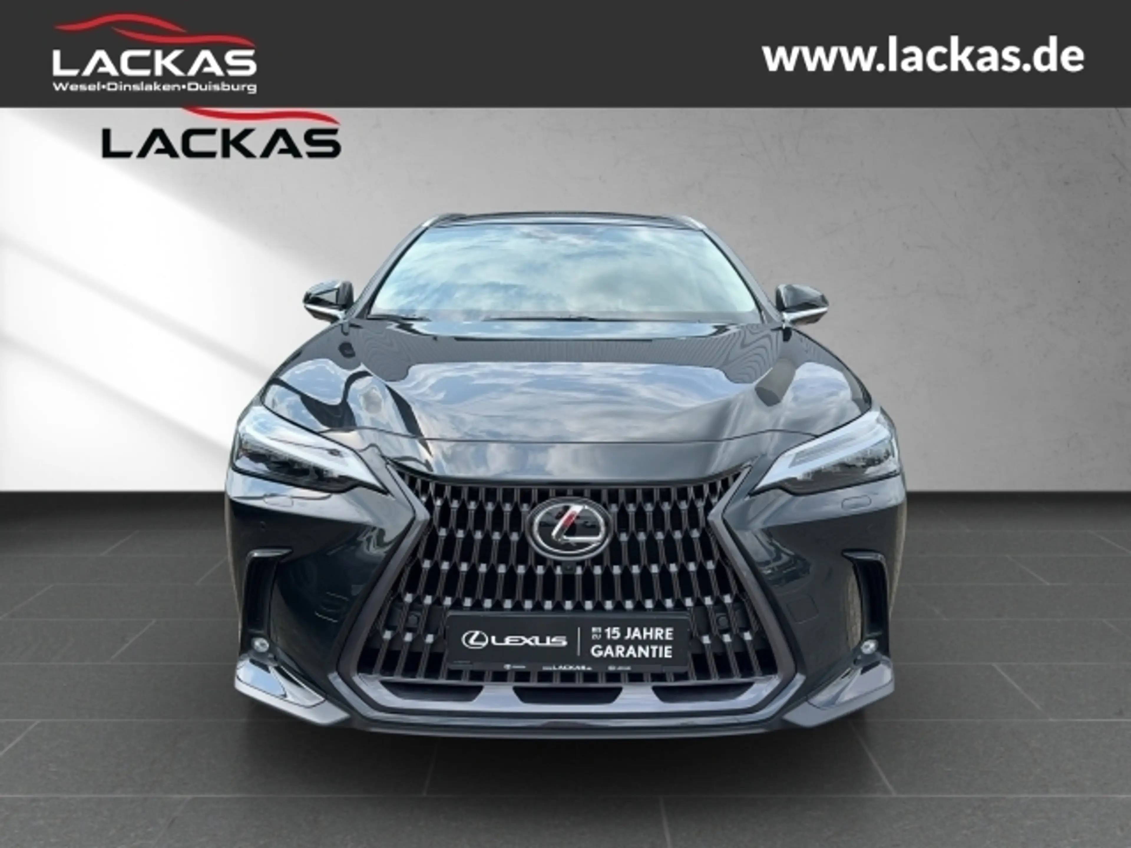 Lexus NX 350h h 243 PS Luxury 4x4 plus Panoramaglasdach — photo 8