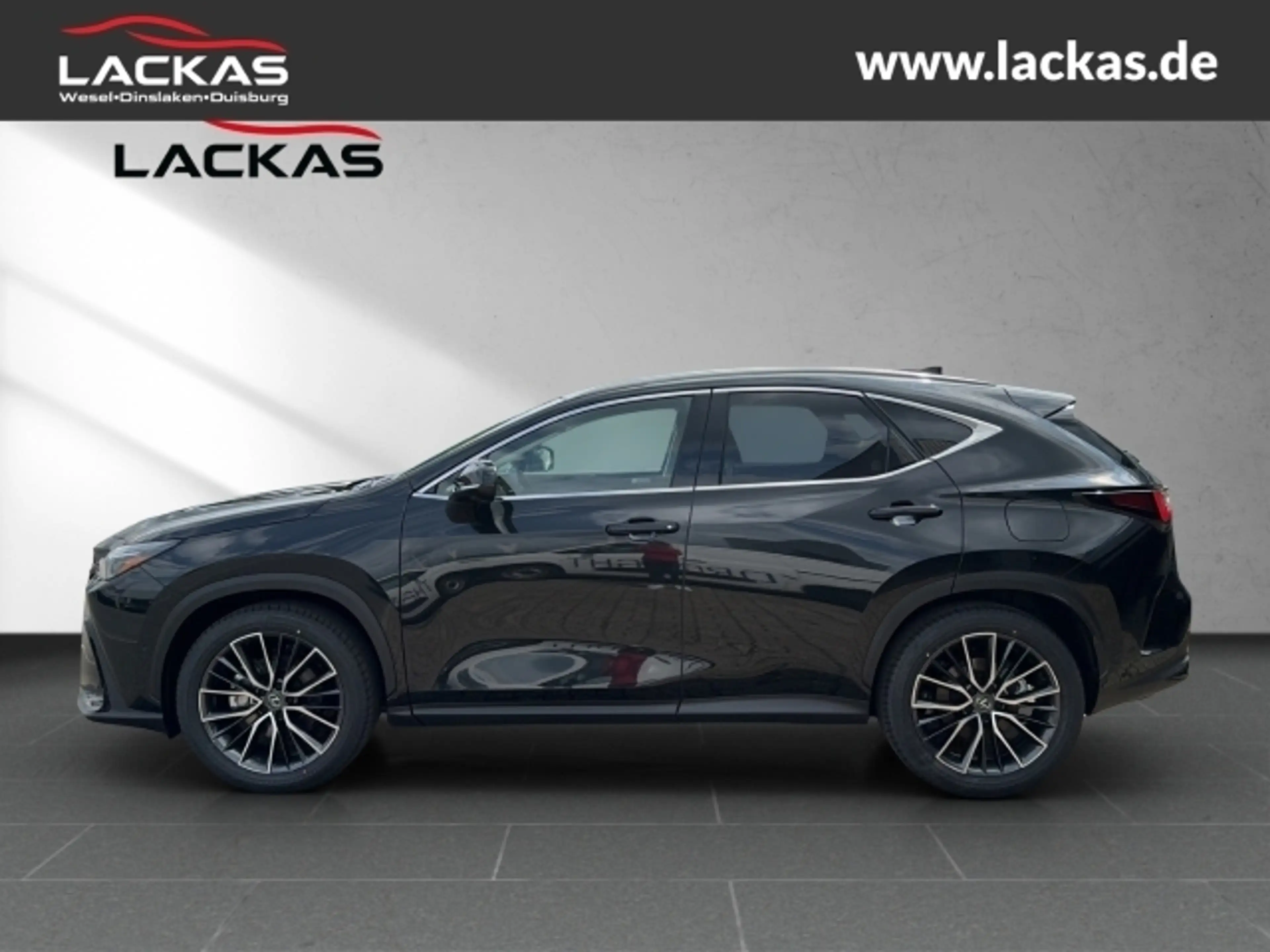 Lexus NX 350h h 243 PS Luxury 4x4 plus Panoramaglasdach — photo 2