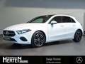 Mercedes-Benz A 200 +Progressive+Standh.+DISTR.+Pano.+Multibeam Weiß - thumbnail 1
