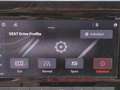 SEAT Arona FR 1.0TSI*LED digCockp Tempo PDC Full-Link Silber - thumbnail 15