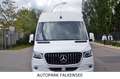 Mercedes-Benz Sprinter SPRINTER III 317 CDI MIXTO H2L2 VOLLAUSSTATTUNG Wit - thumbnail 14