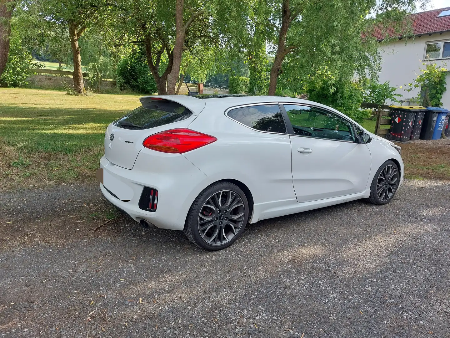 Kia Ceed / cee'd Ceed 1.6 T-GDIGT-Challenge Weiß - 2