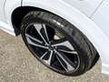 Ford Puma 1.0 EcoBoost Hybrid Aut. ST-LINE X Panorama Grau - thumbnail 9