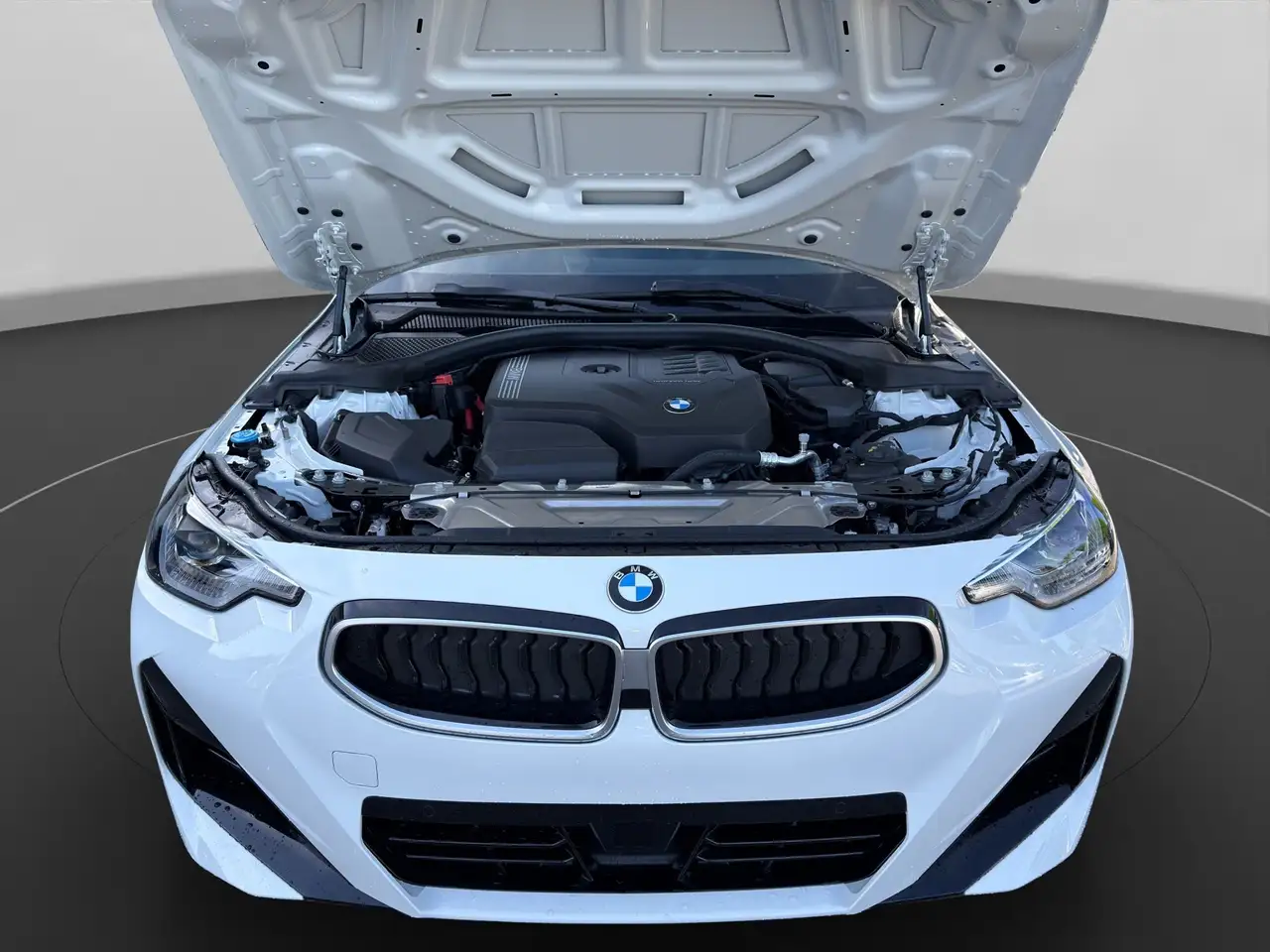 BMW 218 i Coupé GESPERRT VFW FOKUS Q3 13