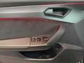 CUPRA Formentor VZ 2.0 TSI 4Drive DSG Tribe Edition Grau - thumbnail 5
