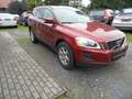 Volvo XC60 XC60 Momentum 2WD Rot - thumbnail 7