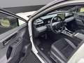 Toyota RAV 4 GR Sport AWD 2.5 Hybrid Automatikgetriebe Weiß - thumbnail 10