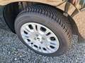 Fiat Panda Panda III 2024 1.0 firefly hybrid S&S Nero - thumbnail 12