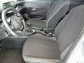 Peugeot 208 208 PureTech 75 Stop&Start 5 porte Active Pack Grau - thumbnail 8