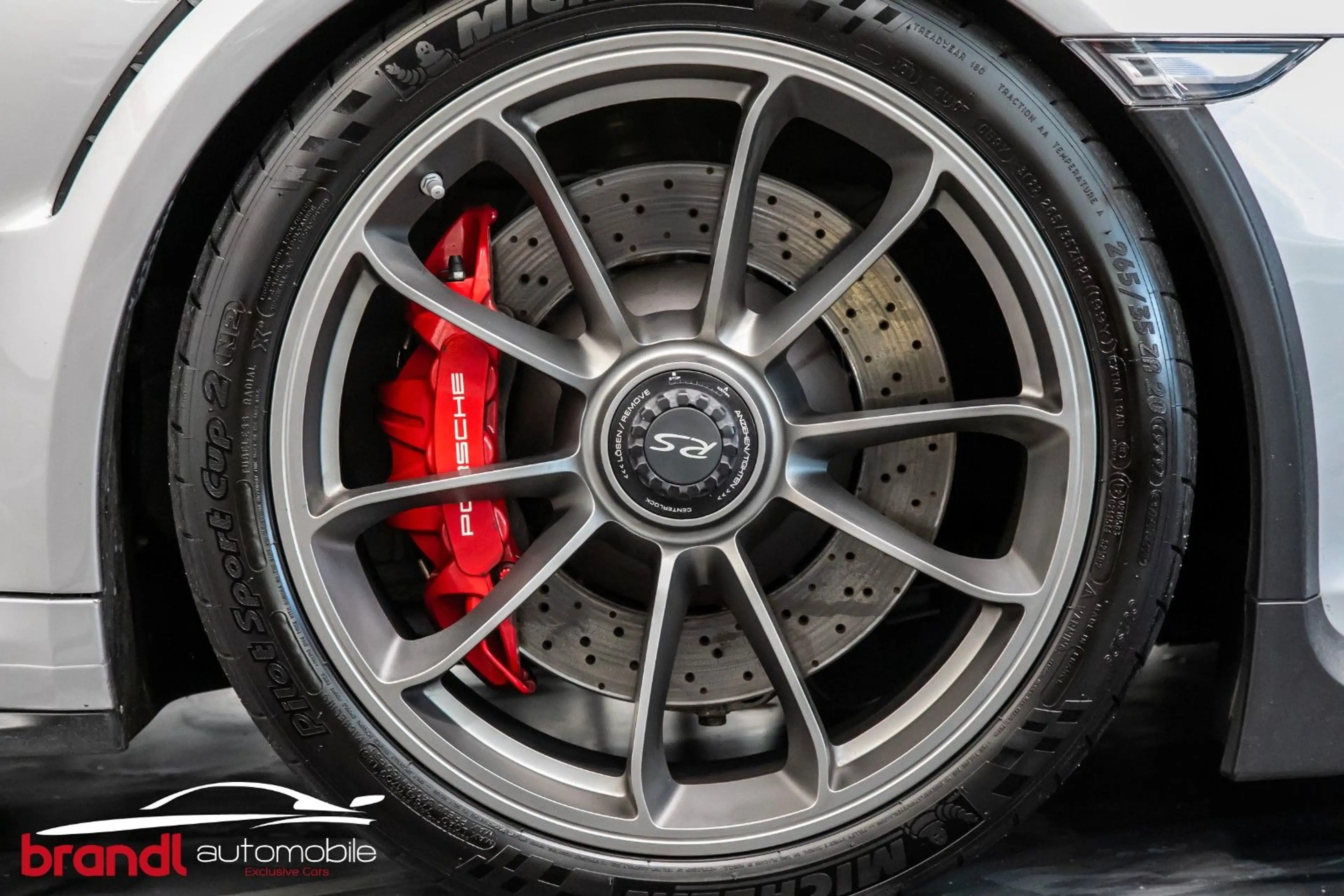 Porsche 991 911 (991) GT3 RS / DE / Approved 03.27 — photo 19