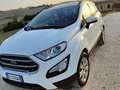 Ford EcoSport EcoSport 2018 1.5 tdci Plus s Bianco - thumbnail 8