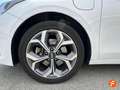 Kia Mentor tourer Blanc - thumbnail 23