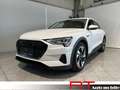 Audi e-tron 50 quattro Weiß - thumbnail 1