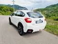 Subaru XV XV 1.6i Free (comfort) 5mt Blanc - thumbnail 3