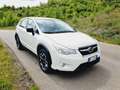 Subaru XV XV 1.6i Free (comfort) 5mt Bianco - thumbnail 7
