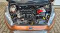 Ford Fiesta Trend 1.25  /SHZ/PDC/KLIMA/ALLWETTER/TÜV Braun - thumbnail 24
