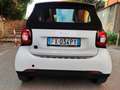 smart forTwo Fortwo Cabrio electric drive Passion Bianco - thumbnail 5