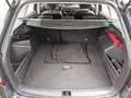 Skoda Fabia Kombi 1.0 TSI Ambition Navi LED RFK ACC Grau - thumbnail 12