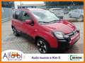 Fiat Panda 1.0 FireFly 70CV Hybrid Pandina (Cross Look) Rosso - thumbnail 3