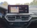 BMW X4 xDr 30dA M SPORT LivePro/TETTO PANORAMICO/FULL OPT Grigio - thumbnail 6